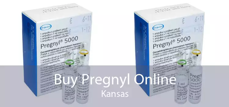 Buy Pregnyl Online Kansas
